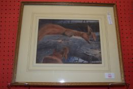 English School, Watercolour, Pair of Red Squirrels, 19cm x 26cm