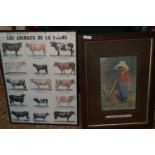 FRAMED FRENCH AGRICULTURAL PRINT "LES ANIMAUX DE LA FERME" DEPICTING VARIOUS CATTLE BREEDS, WIDTH