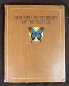 ARTHUR TWIDLE: BEAUTIFUL BUTTERFLIES OF THE TROPICS, HOW TO COLLECT THEM, London, RTS [1920], 1st