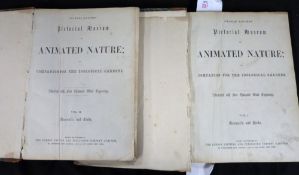 CHARLES KNIGHT: CHARLES KNIGHT'S PICTORIAL MUSEUM OF ANIMATED NATURE AND COMPANIONS FOR THE