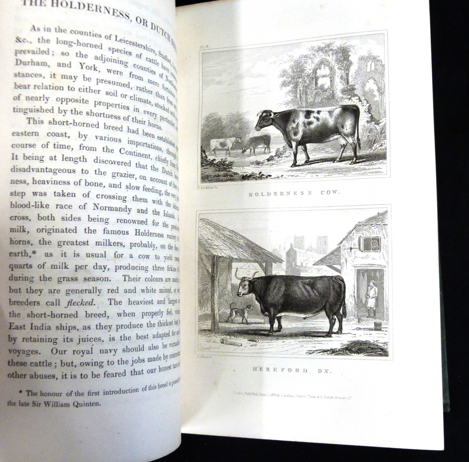 ANON: THE ILLUSTRATIONS OF NATURAL HISTORY EMBRACING A SERIES OF ENGRAVINGS AND DESCRIPTIVE ACCOUNTS - Image 4 of 4