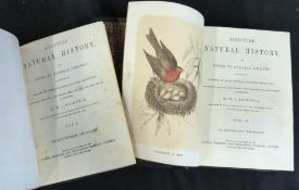 WILLIAM I BICKNELL: SCRIPTURE NATURAL HISTORY, OR GUIDE TO GENERAL ZOOLOGY..., London and New