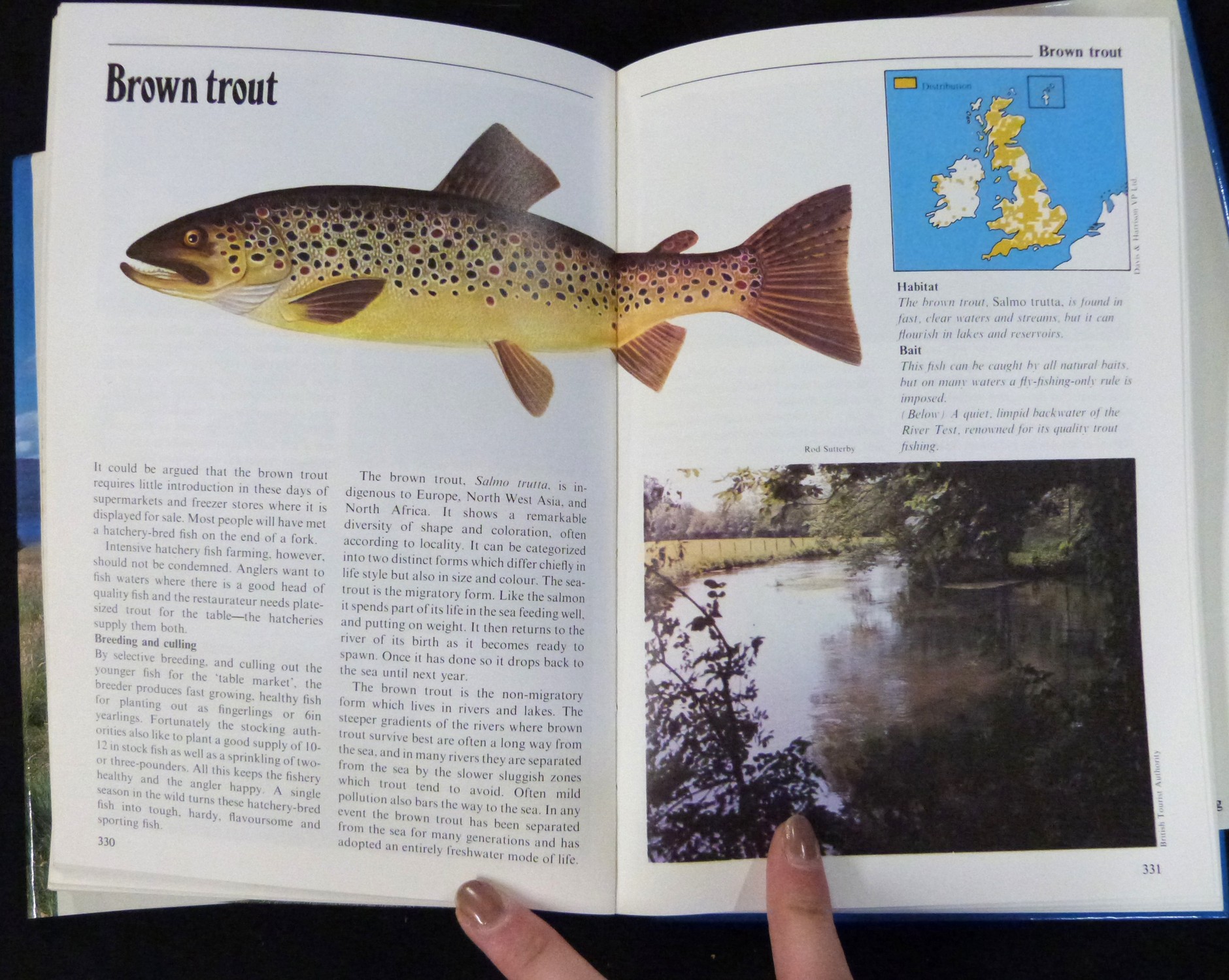 HUGH FALKUS: 2 titles: SALMON FISHING, A PRACTICAL GUIDE, London, H F & G Witherby, 1989 reprint, - Image 4 of 4