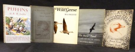 DENHAM JORDAN "A SON OF THE MARSHES": THE WILD-FOWL AND SEA-FOWL OF GREAT BRITAIN, ill Bryan Hook,