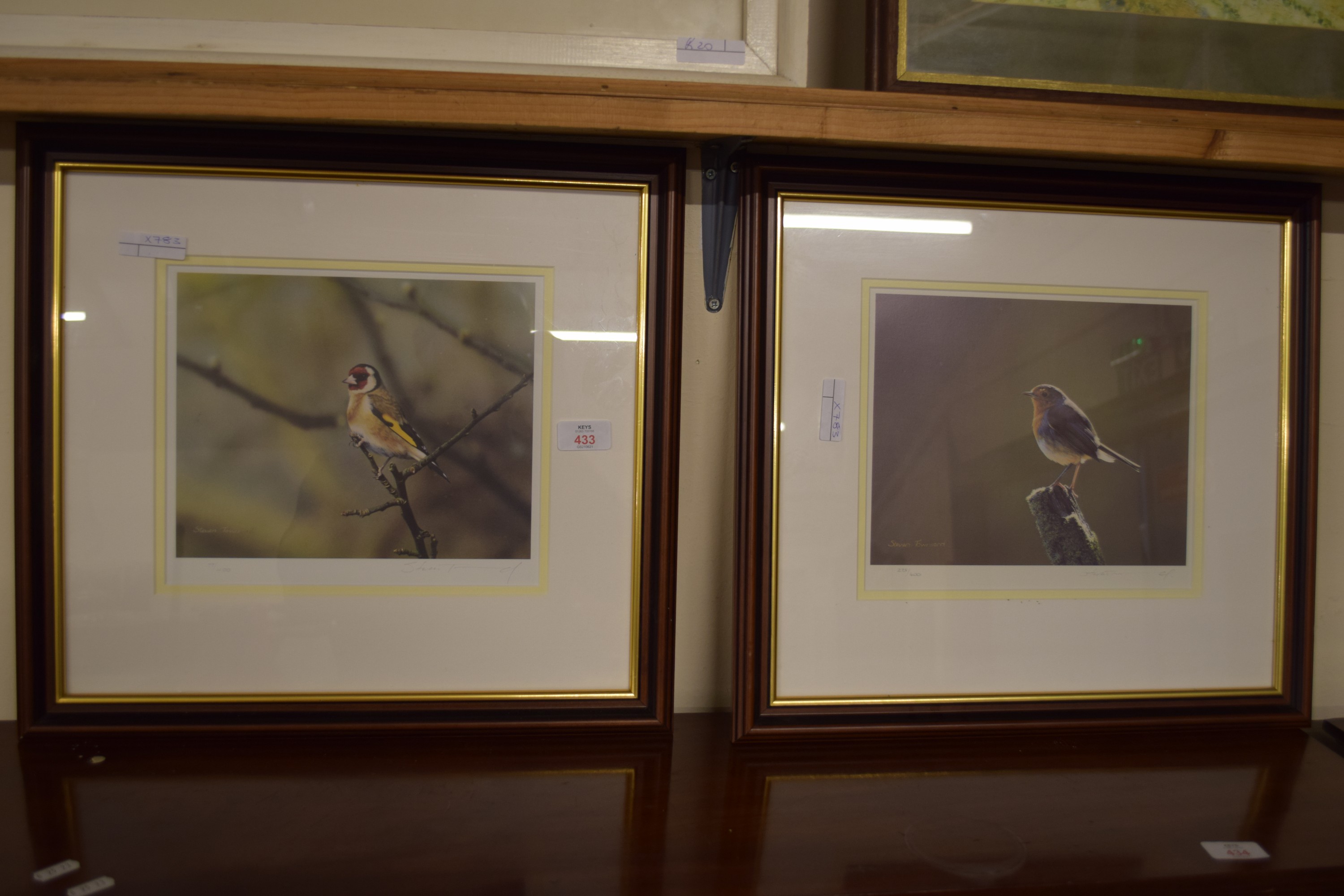 PAIR OF STEPHEN TOWNSEND PHOTOGRAPHIC ORNITHOLOGICAL PRINTS, EACH SIGNED IN PENCIL AND NUMBERED TO