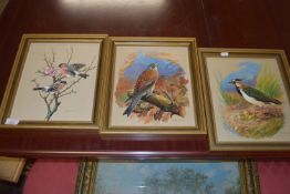 THREE OIL ON BOARD BIRD STUDIES, EACH INITIALLED "DAS 1991", APPROX 29 X 24CM