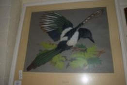 PASTEL PICTURE OF A MAGPIE, SIGNED TURNER