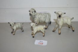 POTTERY MODELS OF SHEEP