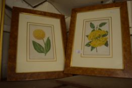 PRINTS OF FLOWERS