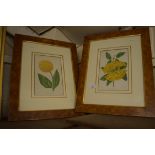 PRINTS OF FLOWERS