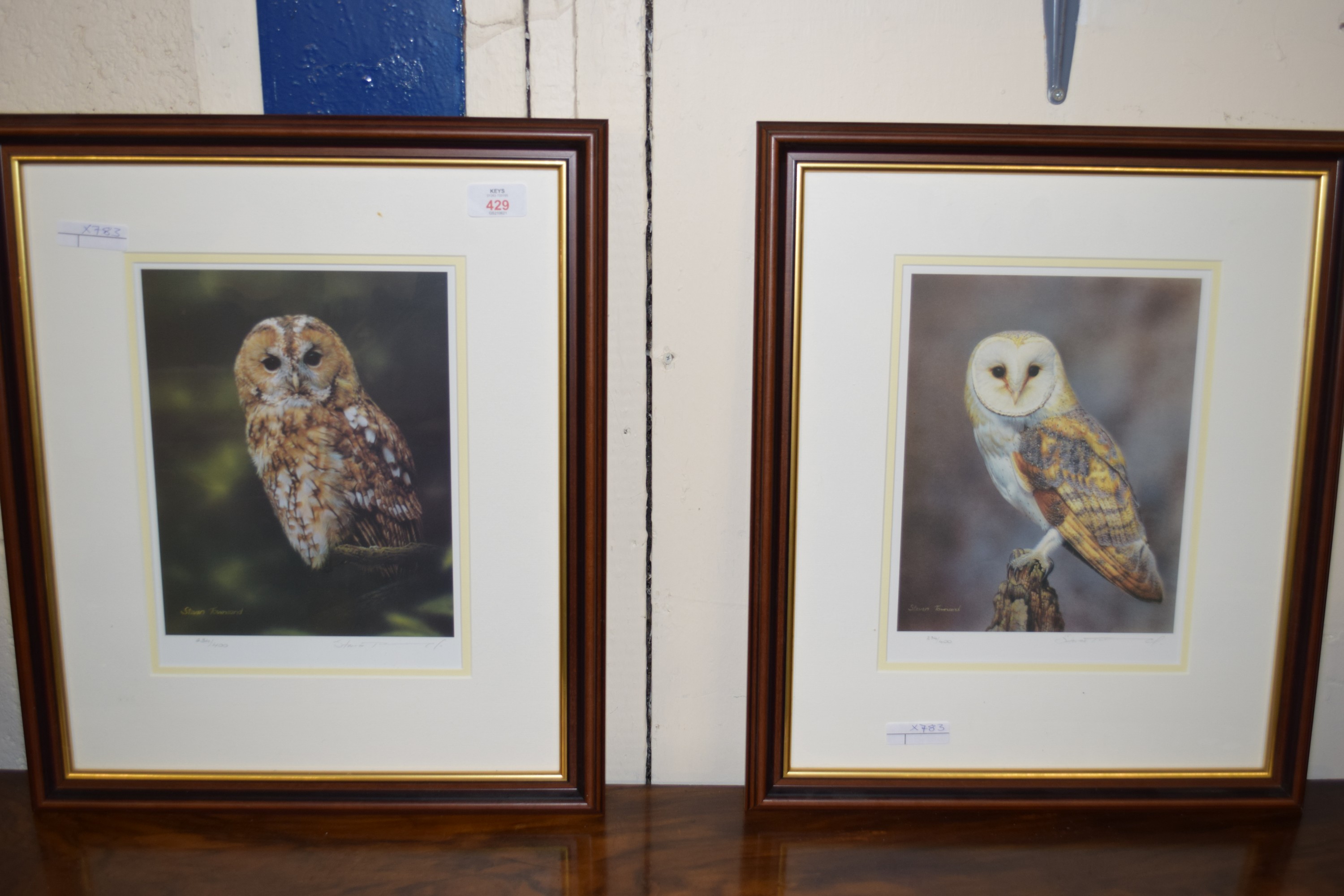 PAIR OF FRAMED LIMITED EDITION STEPHEN TOWNSEND PRINTS OF OWLS, SIGNED IN PENCIL TO MARGIN,