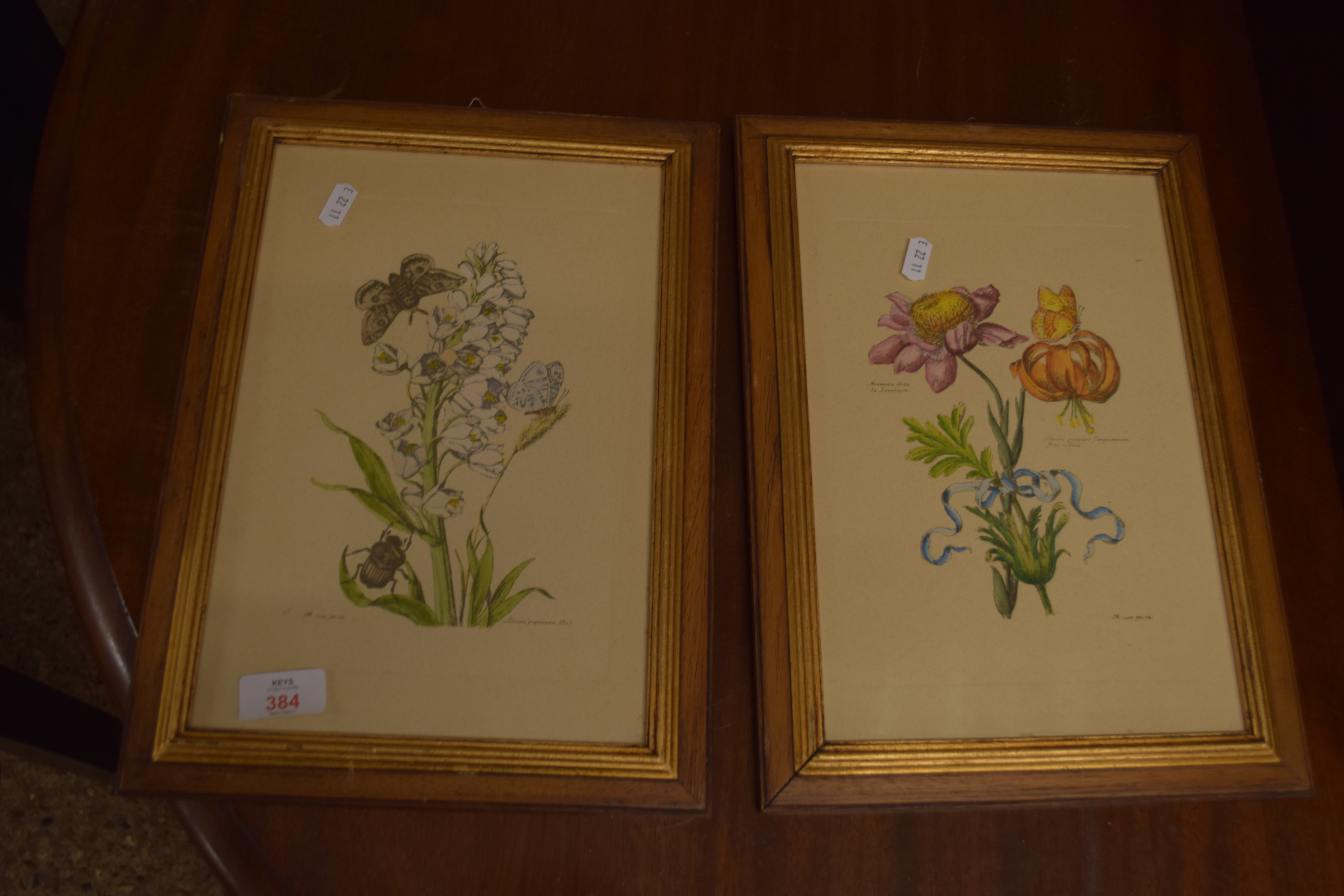 PAIR OF FRAMED BOTANICAL COLOURED PRINTS, EACH APPROX 30 X 20CM