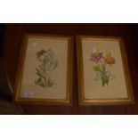 PAIR OF FRAMED BOTANICAL COLOURED PRINTS, EACH APPROX 30 X 20CM