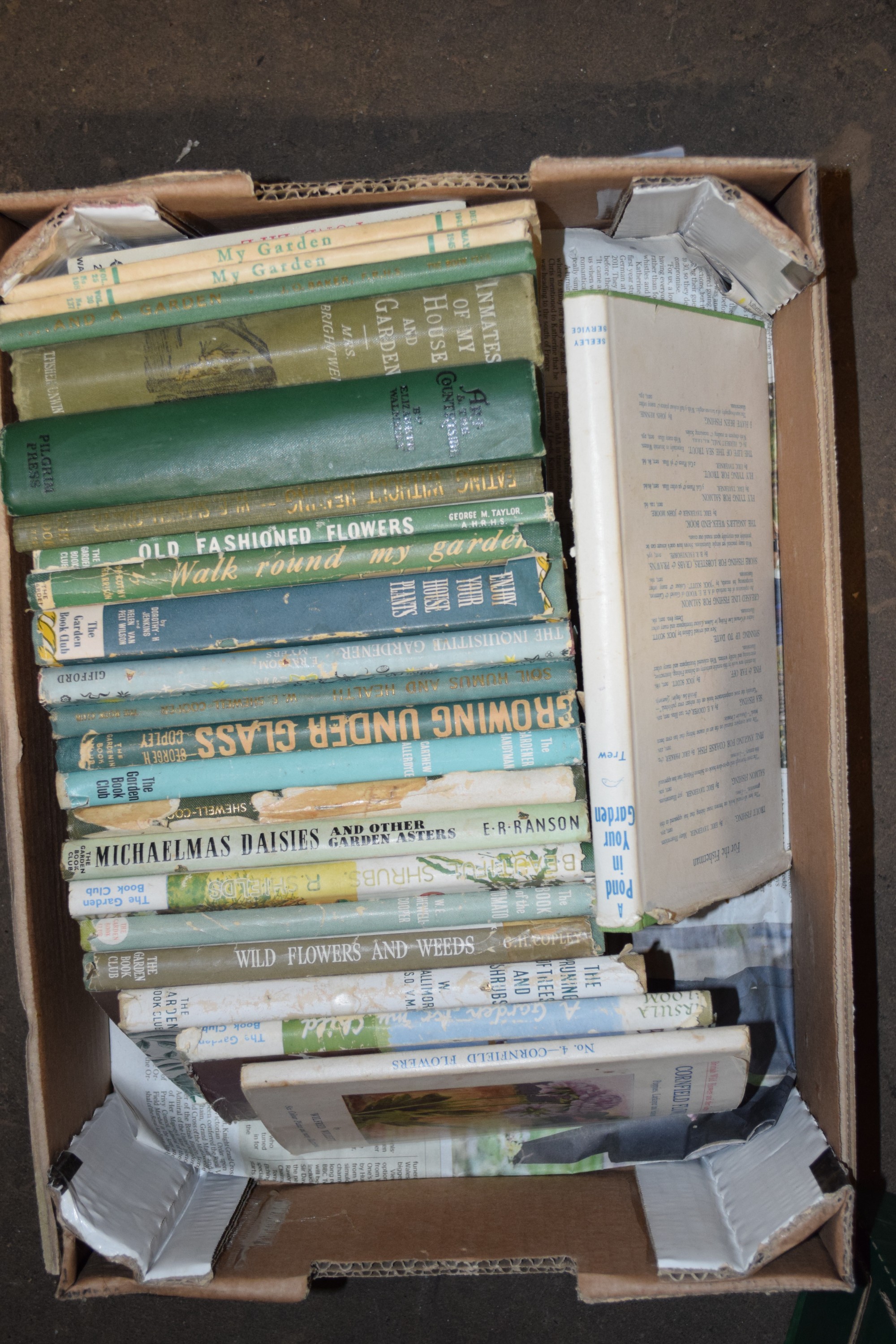 BOX OF BOOKS, VARIOUS TITLES