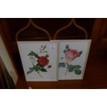 PAIR OF PRINTS OF ROSES