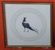 J C Harrison, Watercoulour, Pheasant Study "Swinhoes Pheasant", produced for the book "Pheasants