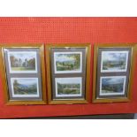 Set of six coloured Engravings (mounted in three glazed frames) of various Abbey/Priory Ruins,