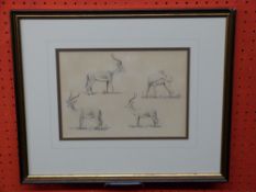 J C Harrison, Pencil Sketch, Studies of Impala (unsigned, note verso from the artist's son) 17 x