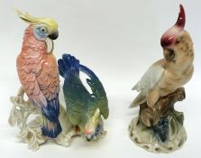 Two Continental studies of parrots, one by Karl Ems, and the other by Royal Belvedere (2)