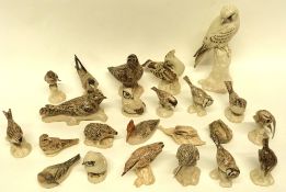 Quantity of pottery bird studies, mainly picked out in shades of brown and grey, various birds (