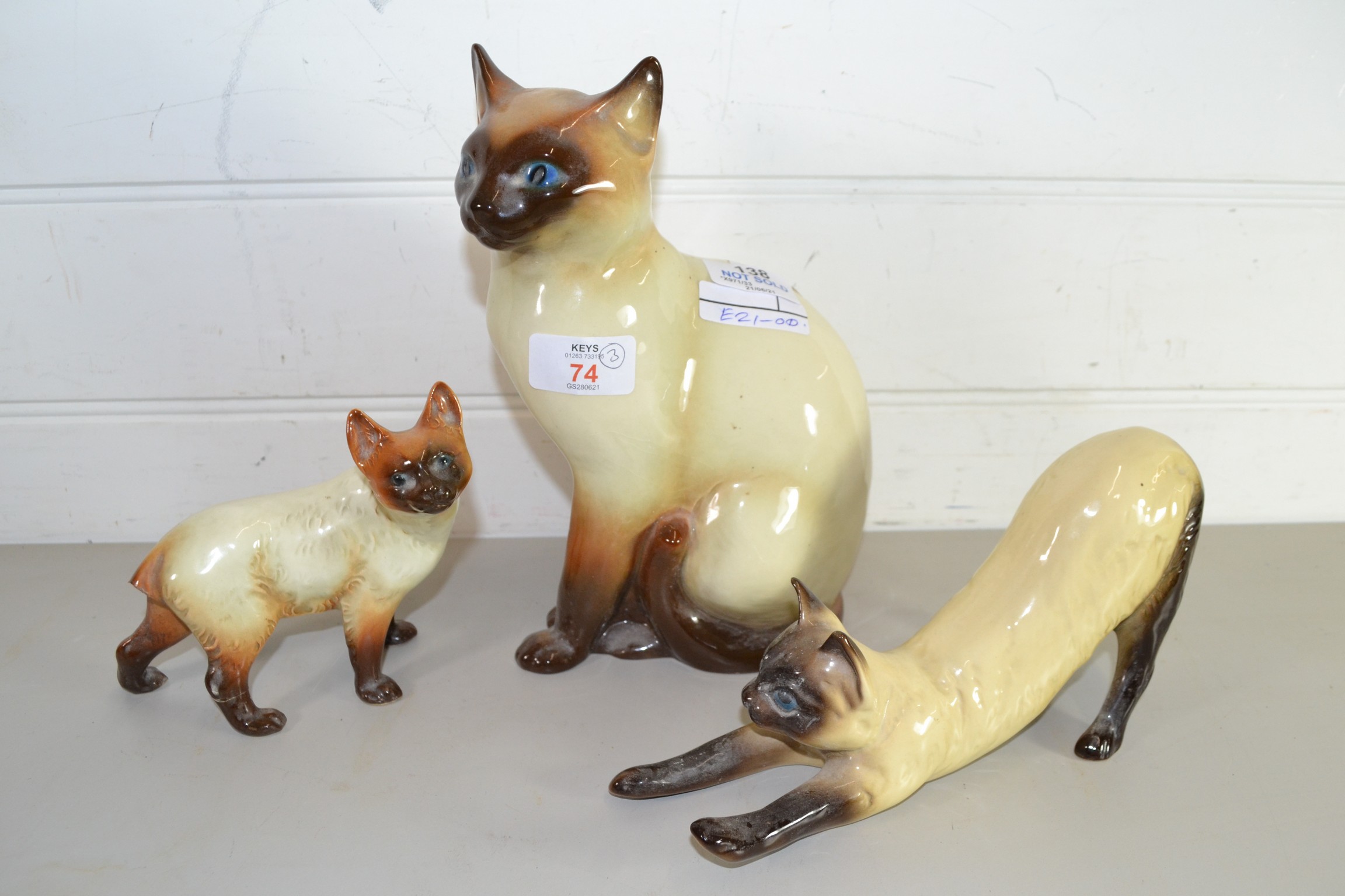 MODELS OF SIAMESE CATS