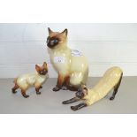 MODELS OF SIAMESE CATS