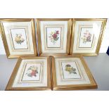 SET OF FIVE PRINTS OF VARIOUS FLOWERS