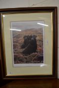 FRAMED PHOTOGRAPH OF TWO BLACK LABRADORS BY STEPHEN TOWNSEND, 362/450