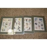 PRINTS OF FLOWERS AND BIRDS