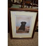 FRAMED DOG INTEREST (LABRADOR) PRINT BY STEPHEN TOWNSEND, APPROX 54CM WIDE