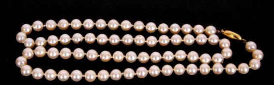 Cultured pearl necklace, a single row of uniform beads, 6mm diam, to a 375 stamped oval clasp,