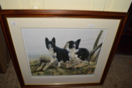 FRAMED STEPHEN TOWNSEND SIGNED LIMITED EDITION PRINT DEPICTING COLLIE DOGS, APPROX 86CM