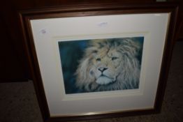 FRAMED LIMITED EDITION SIGNED STEPHEN TOWNSEND PRINT OF A LION, FRAME WIDTH APPROX 71CM