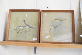 TWO PRINTS OF BIRDS OF F LANSDOWNE