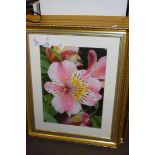 FOUR FRAMED PHOTOGRAPHIC FLORAL PRINTS