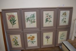 SET OF EIGHT FRAMED BOTANICAL PRINTS