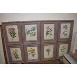 SET OF EIGHT FRAMED BOTANICAL PRINTS