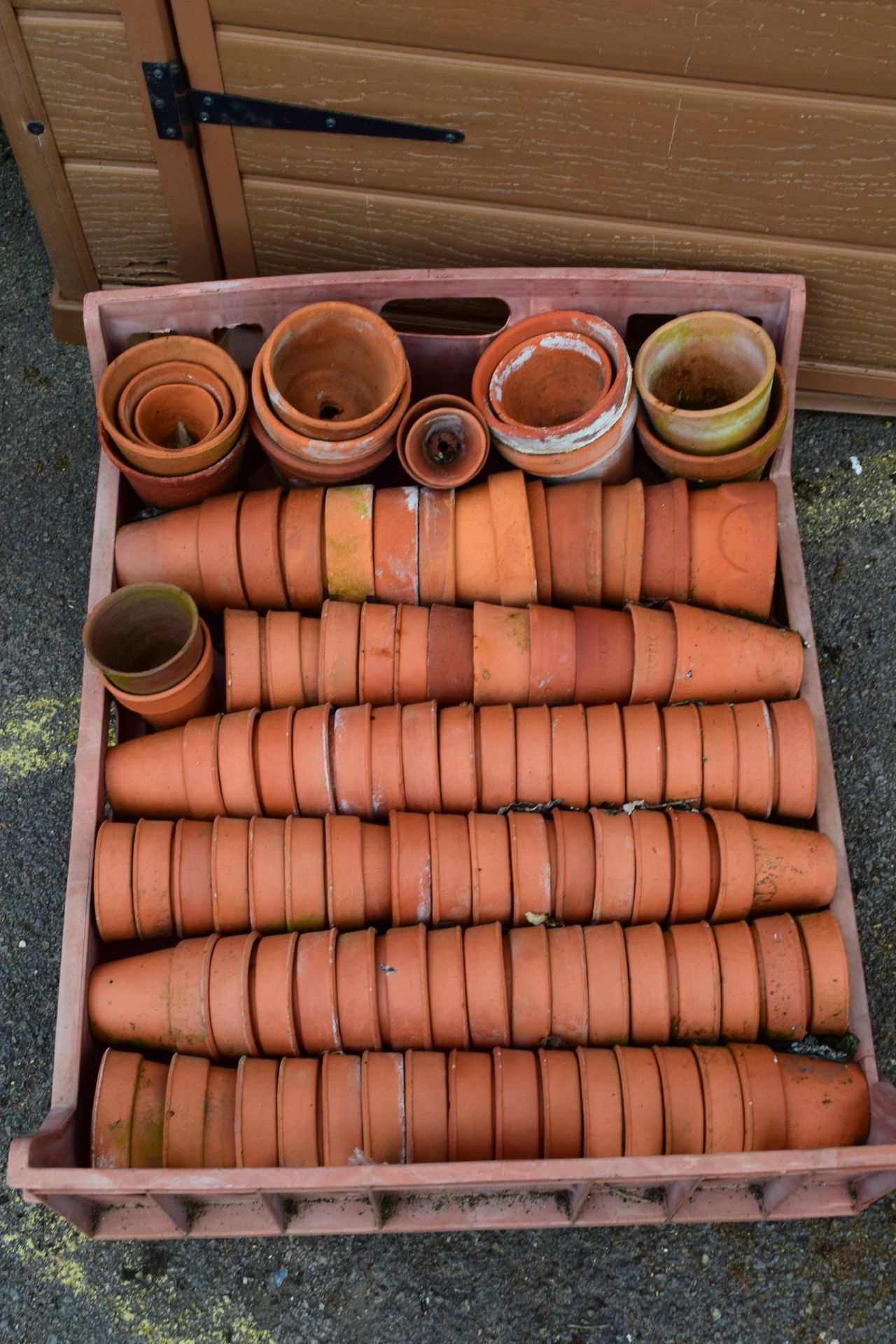 LARGE QTY OF SMALL TERRACOTTA PLANT POTS