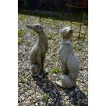 PAIR OF SMALL SEATED WHIPPETS, HEIGHT 55CM