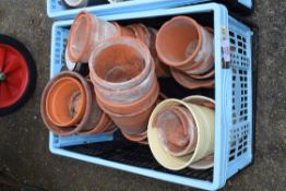 Qty small terracotta pots