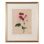 Flower study, monogram E C B, plus one other (2),