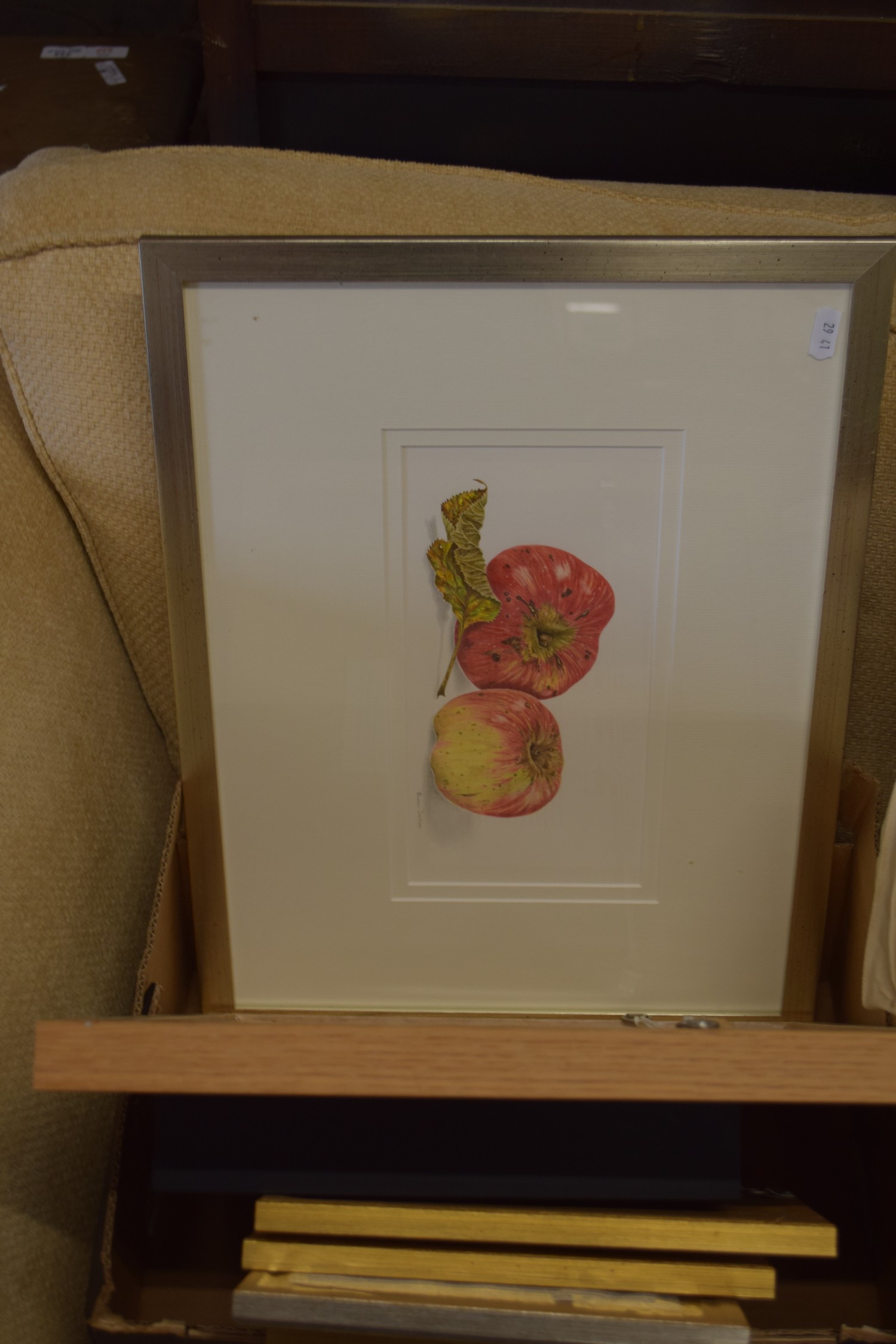 BOX OF VARIOUS SMALL FRAMED BOTANICAL WATERCOLOURS, MOSTLY APPEAR TO BE BY A SUSAN DALTON SBA, - Image 3 of 3