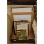 BOX OF VARIOUS SMALL FRAMED BOTANICAL WATERCOLOURS, MOSTLY APPEAR TO BE BY A SUSAN DALTON SBA,