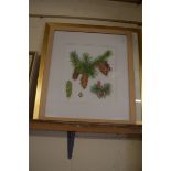 THREE VARIOUS BOTANICAL WATERCOLOURS BY SUSAN DALTON SBA, LARGEST APPROX 44CM