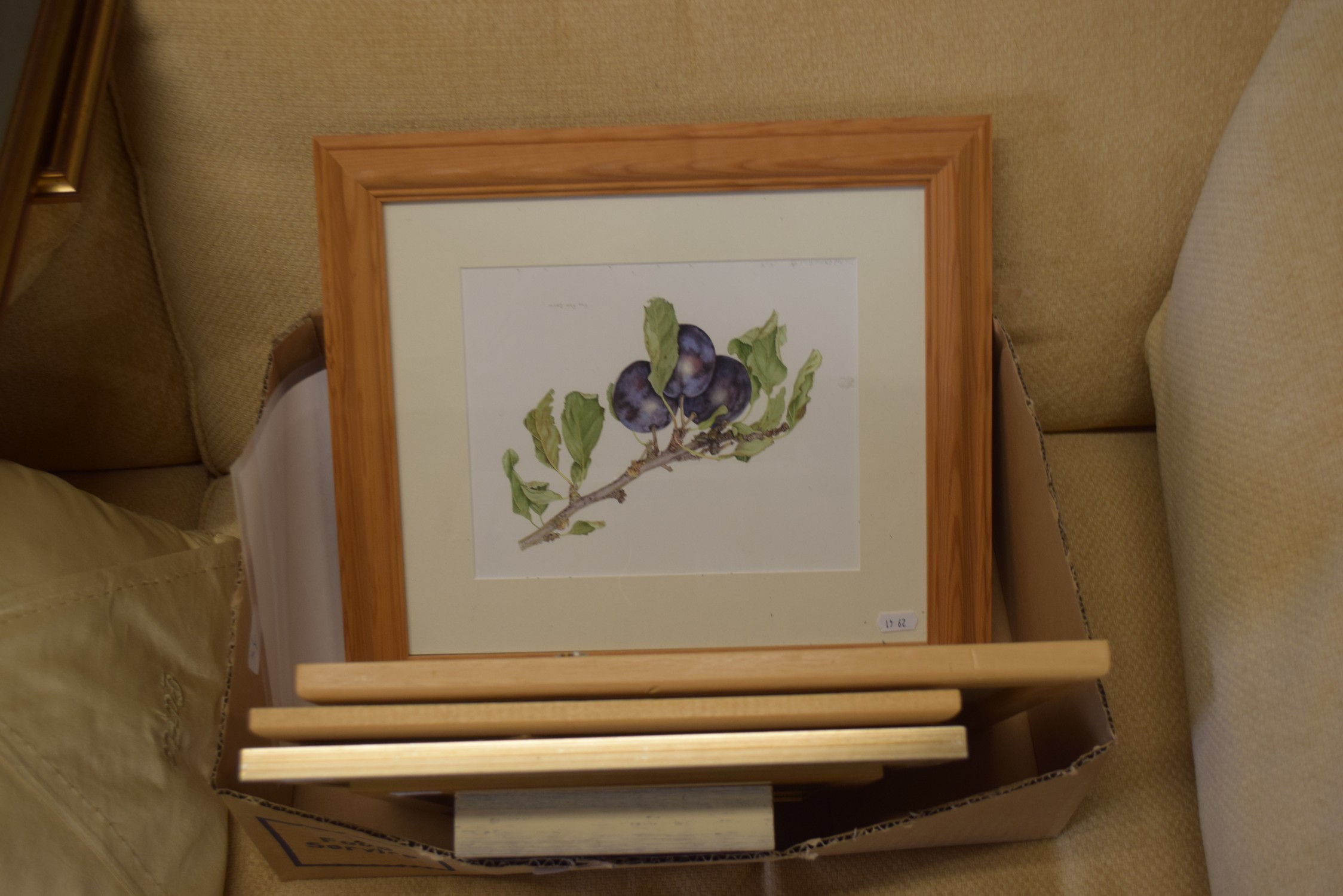 BOX CONTAINING VARIOUS BOTANICAL WATERCOLOURS BY SUSAN DALTON SBA TOGETHER WITH FURTHER ONE BY K - Image 2 of 2