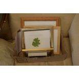BOX CONTAINING VARIOUS BOTANICAL WATERCOLOURS BY SUSAN DALTON SBA TOGETHER WITH FURTHER ONE BY K