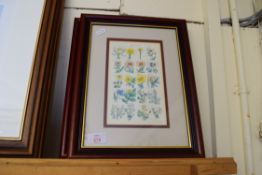 PAIR OF FRAMED BOTANICAL BOOK PLATES, SOWERBY 1858, IMAGE SIZE 13 X 21CM