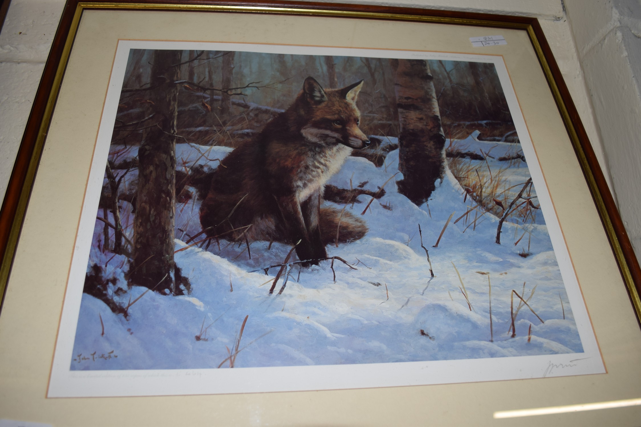 JOHN TRICKETT, COLOURED PRINT, FOX IN SNOW, LTD ED 464/850, SIGNED IN PENCIL LOWER RIGHT, FRAMED AND