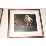 JOHN TRICKETT, LIMITED EDITION PRINT, BARN OWL, SIGNED IN PENCIL, 165/200, FRAMED AND GLAZED