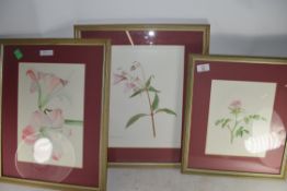 MARY E BIGGINS WATERCOLOUR STUDY OF HIMALAYAN BALSAM TOGETHER WITH FRAMED WATERCOLOUR STUDY